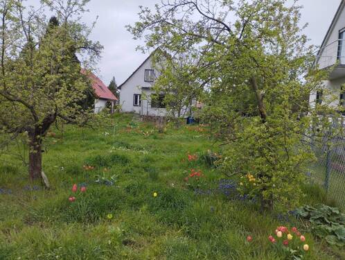 Bild 1 - Einfamilienhaus Grundstück 1019m2