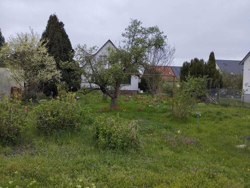 Bild 5 - Einfamilienhaus mit 110,00 m&sup2; in Berlin Mahlsdorf Nord zum Kaufen