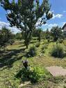 Bild 12 - 