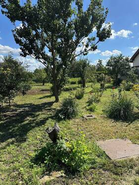 Bild 12 - 