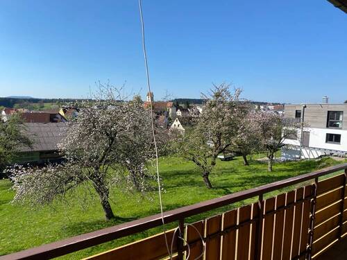 Ausblick - 