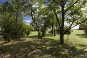 Garten_6073 - 