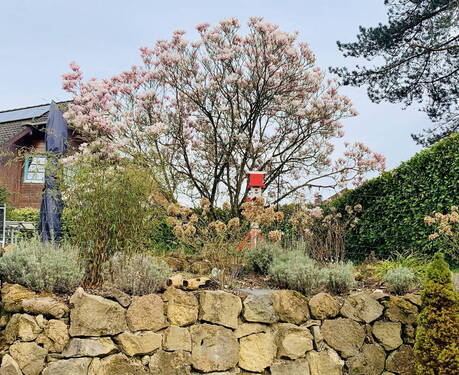 Trockenmauer Naturstein - 