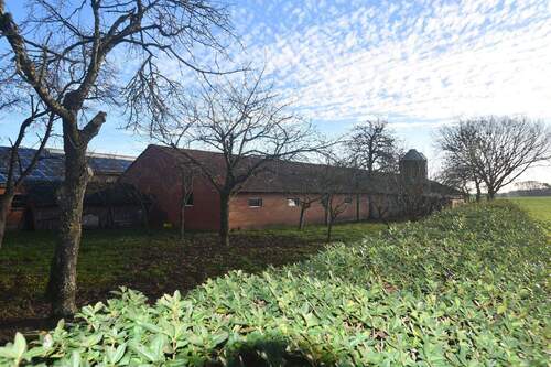 Stall - Mehrfamilienhaus, Wohnhaus mit 240,00 m&sup2; in Wagenfeld / Ströhen zum Kaufen