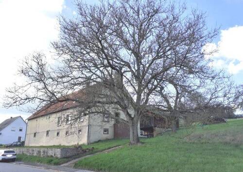 Ansicht Doppelhaushälfte - Ehemaliges Bauernhaus mit Scheunenhaus, reichlich Ausbaupotenzial mit herrlichem Grundstück (Doppelhaushälfte) in Blieskastel-Brenschelbach
