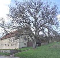 Ehemaliges Bauernhaus mit Scheunenhaus, reichlich Ausbaupotenzial mit herrlichem Grundstück (Doppelhaushälfte) in Blieskastel-Brenschelbach