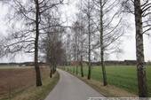Anfahrtsallee - 