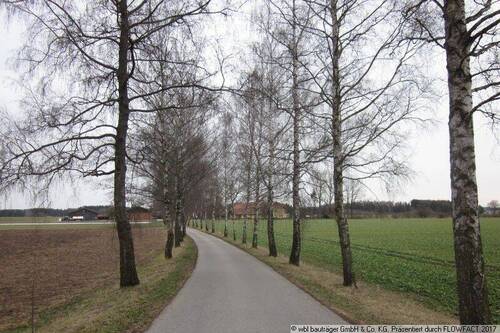 Anfahrtsallee - 