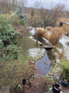 Frühling Gesamtansicht Garten - 