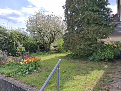Garten.jpg - 