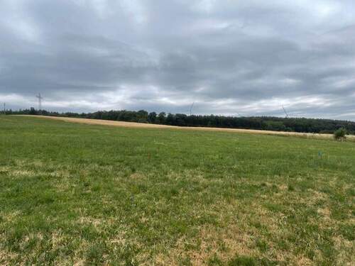 Grundstück Hermeskeil - Einfamilienhaus mit 145,00 m² in Hermeskeil zum Kaufen