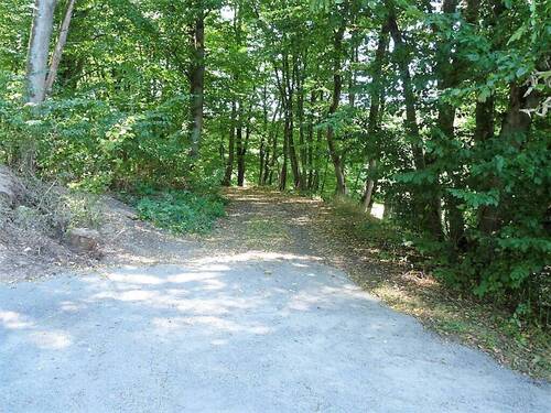 10 Weg zum Basaltsteinbruch.JPG - 