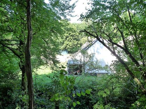 08 Eine weitere Pferdewiese.JPG - 