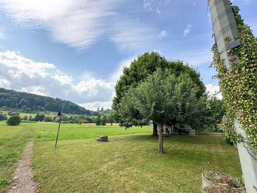 Weitblick ins Grüne - 