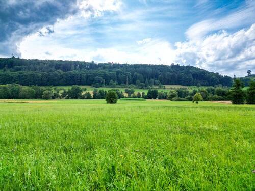 Zugehörige Wiesengrundstücke - 