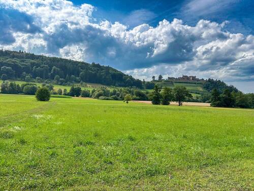Zugehörige Wiesengrundstücke - 