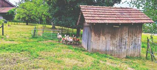 b7aaa288-fdd6-4ac9-a91e-33ad00ada539 - Grundstück zum Kaufen in Rümmingen
