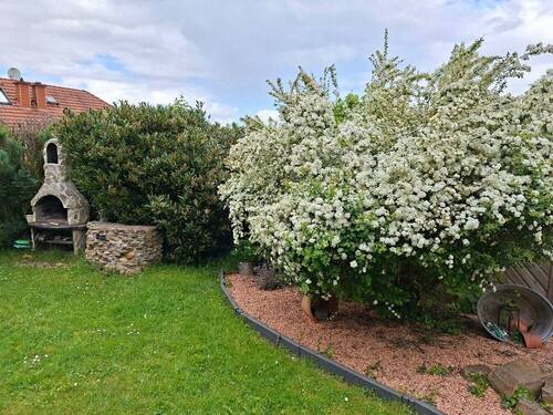 Garten - 5.jpg - 