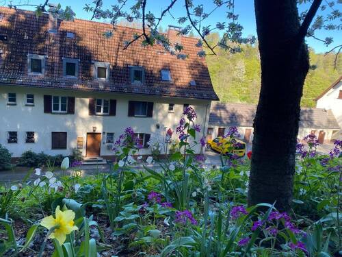 So lässt es sich wohnen - Wunderschöne, gepflegte Dachgeschosswohnung in Trausnitz - Frei!