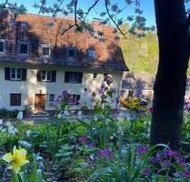 Wunderschöne, gepflegte Dachgeschosswohnung in Trausnitz - Frei!