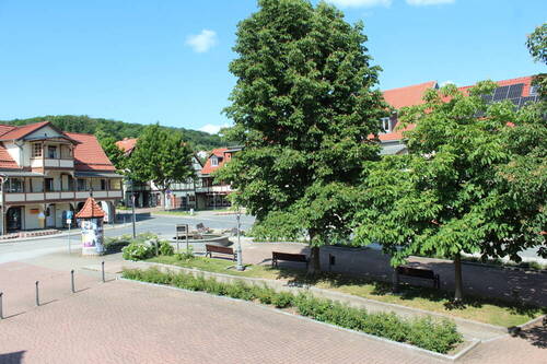 IMG_3180 - 