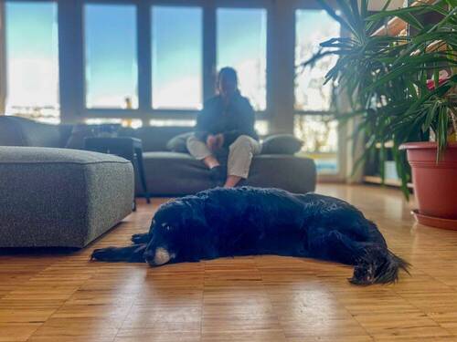 Gemeinschaftsbereich - 