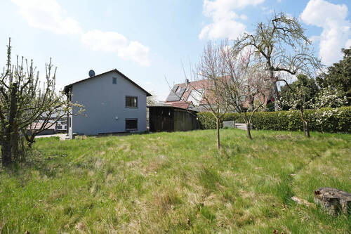 Garten (Süd-Ansicht) - 
