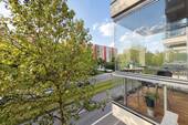 Verglaster Platz an der Sonne - 