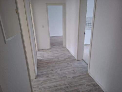 20260117_110452.jpg - 