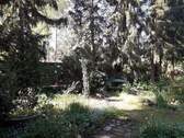 Der Garten - 