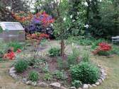 Der Garten - 