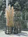 Ambiente - 