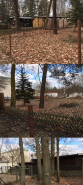 1783357a-c71b-4fc7-b675-9d692e0c887b - Wohn- und Geschäftsgrundstück in Kolkwitz - Großzügige 2.000 m² am Klinikum zu verkaufen