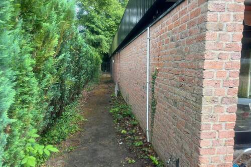 Bild 9 - 