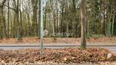 Ausblick - 