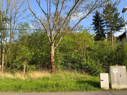 Straßenansicht - Grundstück zum Kaufen in Sondershausen