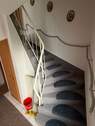 IMG_2450.jpeg - 