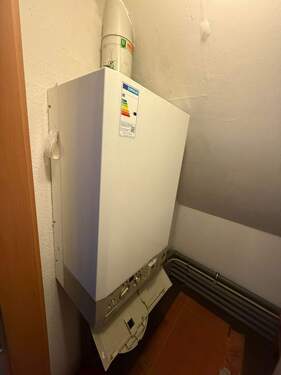 IMG_2454.jpeg - 