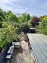 Blick in den Garten - 