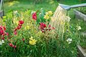 Bild 16 - 