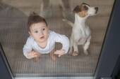 Bild 19 - 
