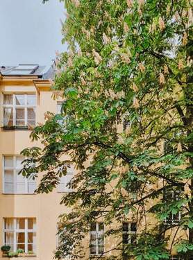 Schöner Frühjahrsblick - 