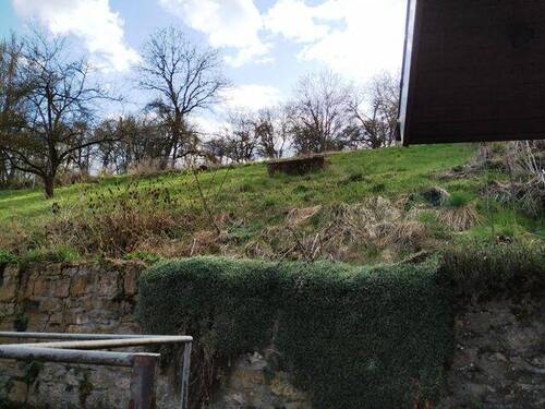 Garten und angrenzendes Baumgrundstück - 