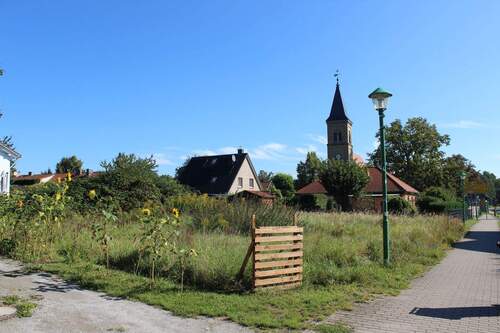Grundstück-Sicht von linker Seite - Grundstück in Mühlenbecker Land