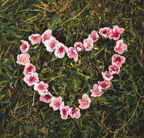 Großes Grundstück für ein Einfamilienhaus - Haag Bichl