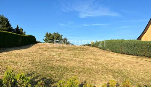 Grundstück - Grundstück in Steinigtwolmsdorf