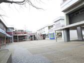 DSCN5239.JPG - 