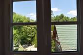 Blick - 