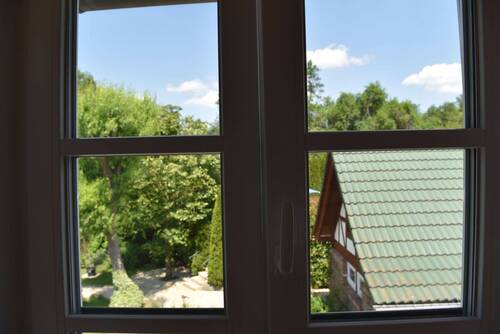 Blick - 