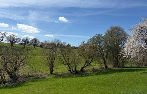 Ausblick - 6 Zimmer Einfamilienhaus in Berkatal